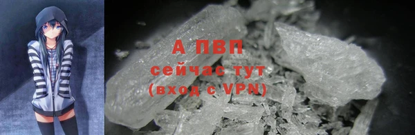 стафф Киренск