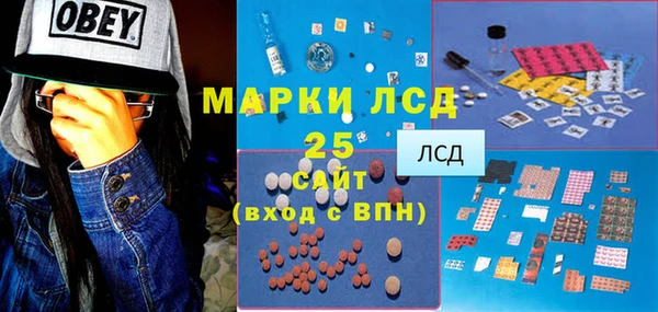 индика Кинешма