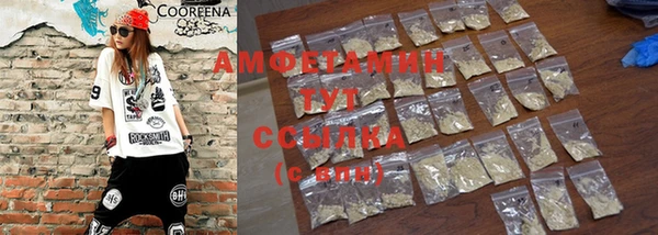 индика Кинешма