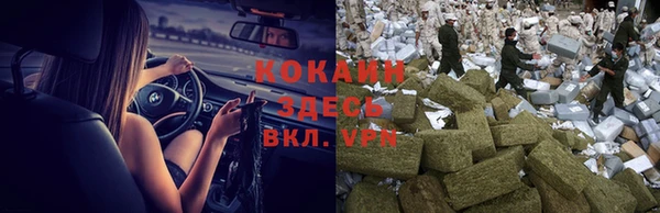 винт Касимов