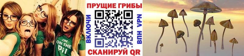 Псилоцибиновые грибы мухоморы Малоярославец